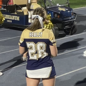 Fundraising Page: Kylie Healey